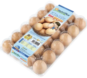 NutriPlus Classic Plus Size Chicken Eggs 24pcs/pack